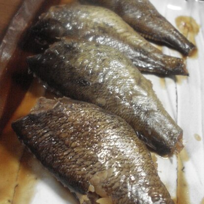 釣った黒ソイで。白身魚に良く合う煮汁ですね！

ミニサイズなせいか味のしみが良くて絶品です。

美味しいレシピをありがとう～♪